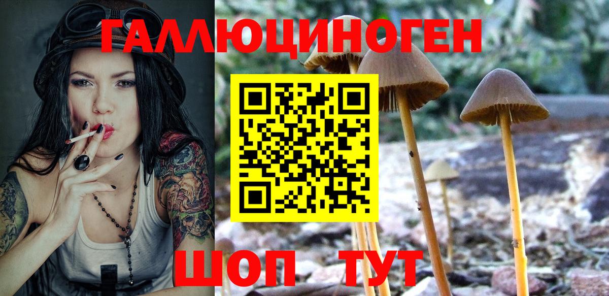 даркнет сайт  Вход с VPN  Свободный  Псилоцибиновые грибы MAGIC MUSHROOMS  Галлюциногенные грибы Magic Shrooms 